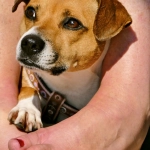 Программы лояльности казино без депозита для уставших игроков