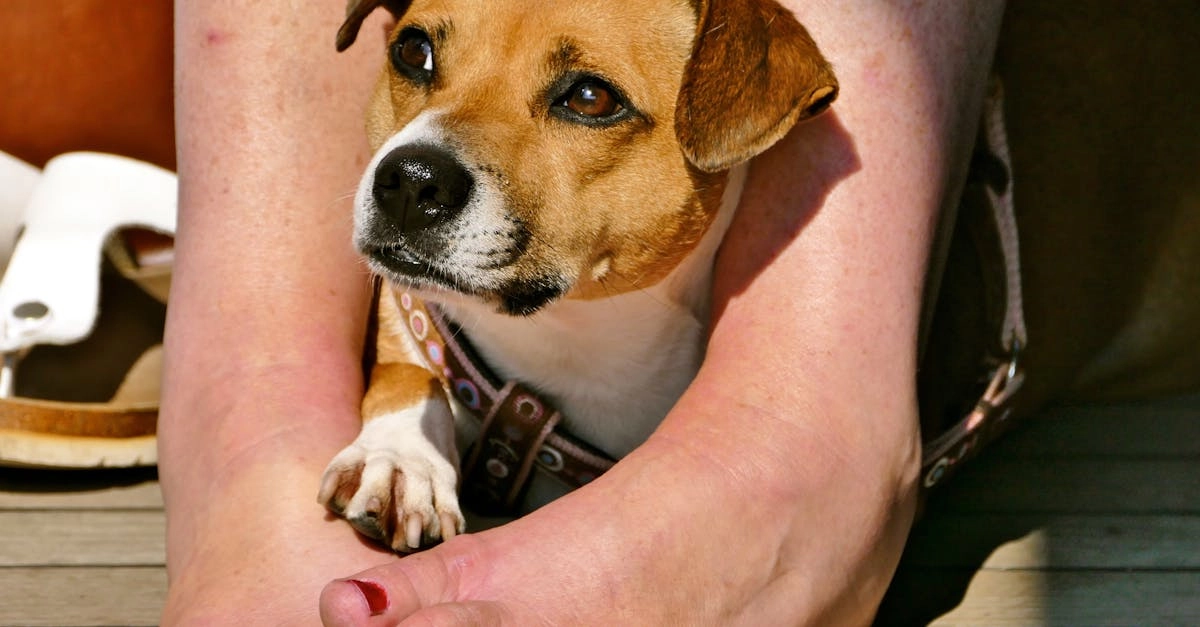 Программы лояльности казино без депозита для уставших игроков